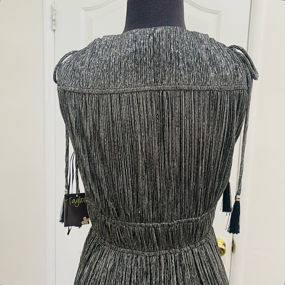 Taylor Black and Silver Goddess Gown - Picture 9 of 16